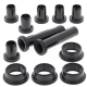 Kit roulements de suspensions arrières indépendantes ALL BALLS pour POLARIS SPORTSMAN 800 EFI 2005-2013