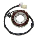 Stator ELECTROSPORT pour YAMAHA RAPTOR 350