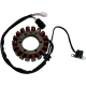 Stator MOOSE pour YAMAHA RAPTOR 350