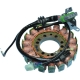 Stator RICK'S MOTORSPORT pour POLARIS SPORTSMAN 500 EFI