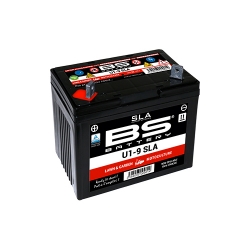 Batterie BS SLA activée usine U1-9 pour YAMAHA RHINO 700