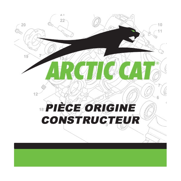 001-589 - ARCTIC CAT LOGO AIRCAT, 120X50MM, GREEN/WHITE (NO.