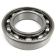 0402-324 - ARCTIC CAT BEARING, BALL (6007 OPEN)