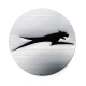 1411-798 - ARCTIC CAT DECAL, STEERING WHEEL