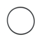 0830-205 - ARCTIC CAT O-RING