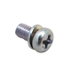 5507-117 - ARCTIC CAT SCREW