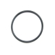 0423-633 - ARCTIC CAT O-RING(25 X 1.5)