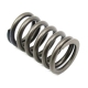 0809-231 - ARCTIC CAT SPRING, VALVE