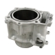 0804-016 - ARCTIC CAT CYLINDER, A650