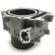 0804-056 - ARCTIC CAT CYLINDER COMP.