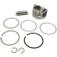 0805-169 - ARCTIC CAT PISTON ASSY, 366 (PISTON,RINGS, C-CLIP,PIN)
