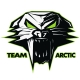 5239-722 - ARCTIC CAT DECAL,CATHEAD CAT GREEN 12