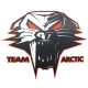 5239-725 - ARCTIC CAT DECAL,CATHEAD CAT ORANGE 12
