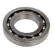 1602-981 - ARCTIC CAT BEARING,25MMX47MMX8MM-PEER