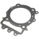 0830-225 - ARCTIC CAT GASKET,HEAD-700 EFI (GIL)