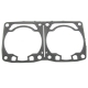 0930-029 - ARCTIC CAT GASKET,BASE - CYLINDER-800