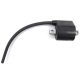 3530-027 - ARCTIC CAT COIL, IGN