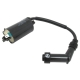 3303-830 - ARCTIC CAT COIL ASSY IGNITION