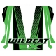 2436-076 - ARCTIC CAT 15 WC_ROOF DECAL-X TAG
