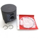 3007-734 - ARCTIC CAT PISTON SET (09 600 S/P)