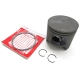3007-877 - ARCTIC CAT PISTON ASSY (010 800 L/C)