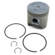 3006-921 - ARCTIC CAT PISTON ASS''Y-04 570