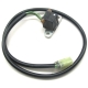 3007-317 - ARCTIC CAT SENSOR,IGNITION TIMING