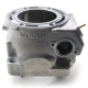 1904-003 - ARCTIC CAT CYLINDER,800RCW-ASSY