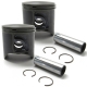 0905-169 - ARCTIC CAT PISTON, 73.8-ASSY GIL G2-SP (QTY OF 2)