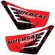 2436-062 - ARCTIC CAT 2015 WC SPORT-CAT WRAP DOOR DECAL-XT VIB