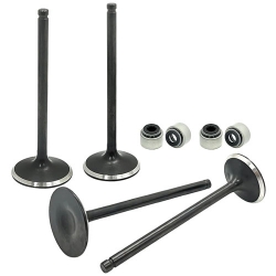 Kit soupapes d'admission et d'échappement pour POLARIS 500 Outlaw/Predator