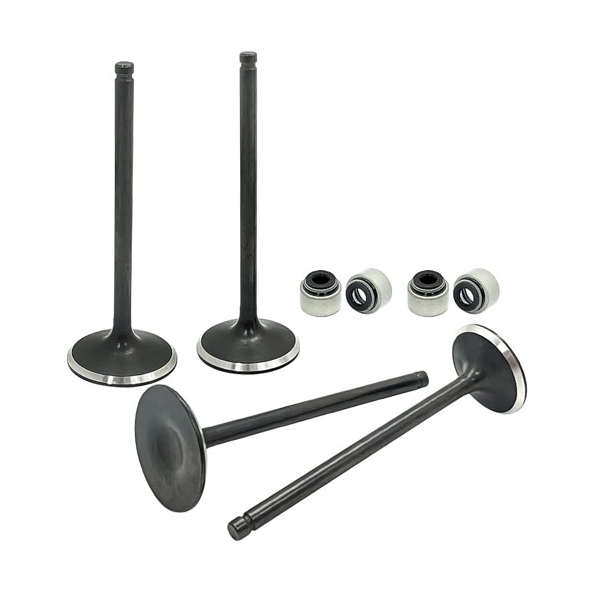 Kit soupapes d'admission et d'échappement pour POLARIS 500 Outlaw/Predator