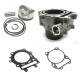 Ensemble cylindre, piston et joints pour ARCTIC CAT 450 ALTERRA 2016