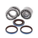Kit roulements et joints de pont arrière ALL BALLS pour YAMAHA GRIZZLY 450 2008-2010