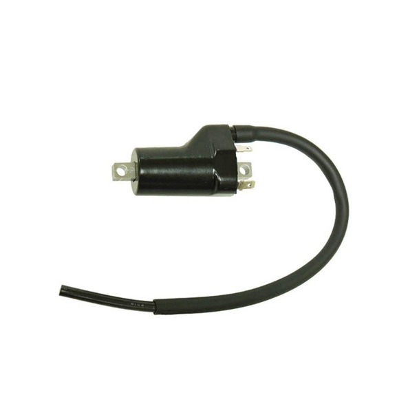 Bobine d'allumage pour ARCTIC CAT 1000 2008-2010 et 2012-2014