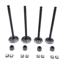 Kit 4 soupapes avec coupelles et joints pour POLARIS 500 OUTLAW