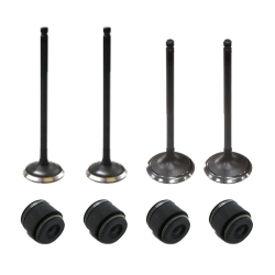 Kit soupapes et joints de queue de soupapes pour ARCTIC CAT 350/366/400