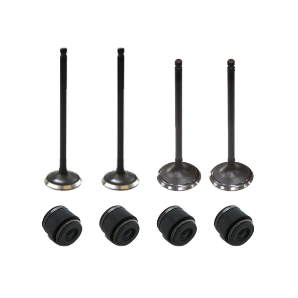 Kit soupapes et joints de queue de soupapes pour ARCTIC CAT 350/366/400