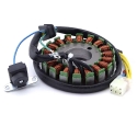 Stator pour POLARIS 200 PHOENIX 2005-2010