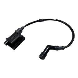 Bobine d'allumage pour ARTIC CAT 450 ALTERRA