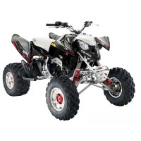 pieces-quad-polaris-predator-500.jpg