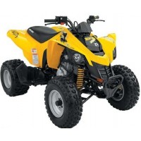 quad can am 250 ds homologue