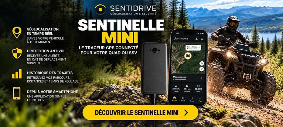 Traceur gps SENTINELLE