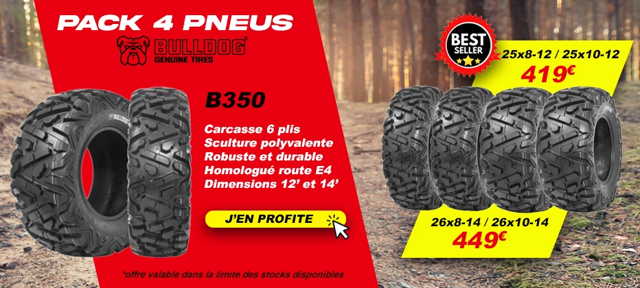 Pack 4 pneus BULLDOG B350